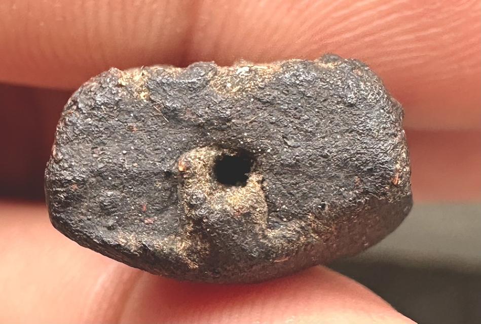 พระหลวงปู่ทวดเนื้อว่าน พิมพ์หลังลายเซ็นต์พระอาจารย์ทิม วัดด่าน จ.ระนอง ปี 2506 สวยๆ ครับ รูปที่ 3