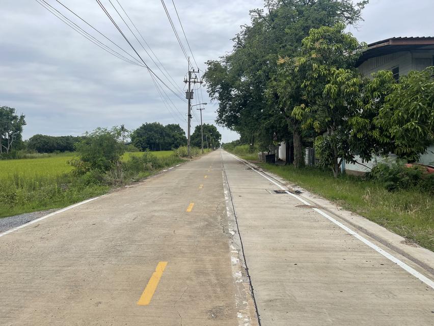 ขายที่ดินคูบางหลวงสีม่วง 2 ไร่ ใกล้ถ.ปทุมธานี-บางเลน346-1กม. อ.ลาดหลุมแก้ว ปทุมธานี 4