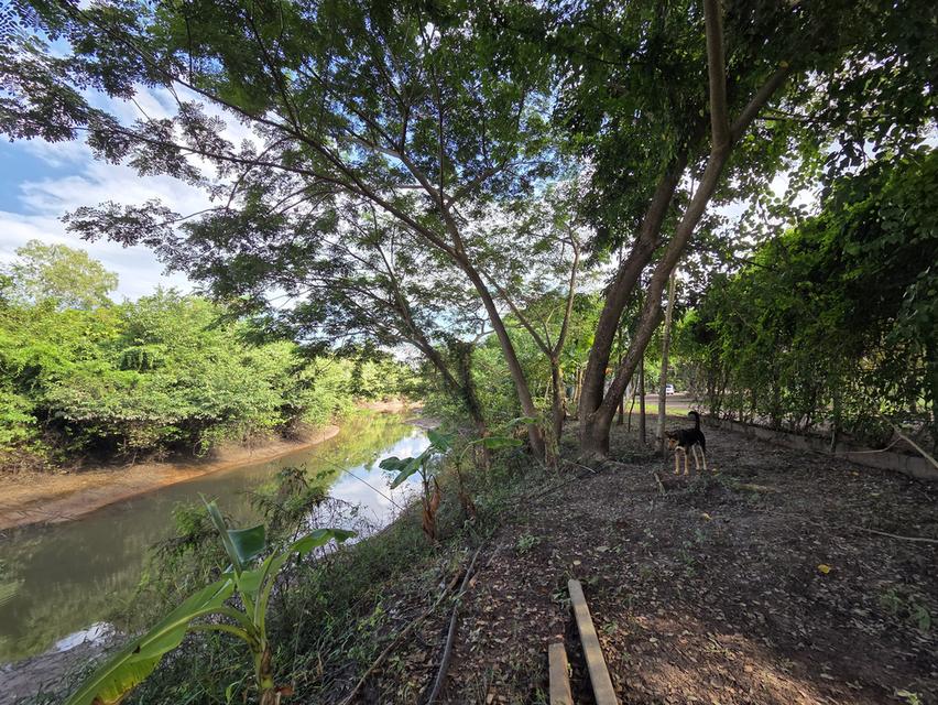 ขายที่ดิน 14 ไร่ แบ่งแปลงแล้ว สามพร้าว 8