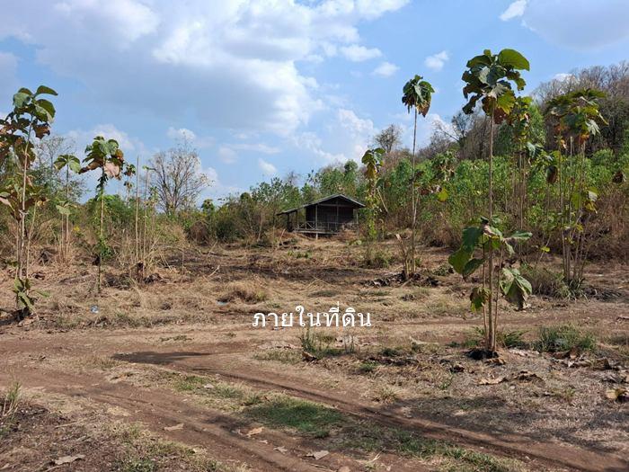 ขายที่ดิน 4-3-86ไร่ ต.กันจุ อ.บึงสามพัน ขายต่ำกว่าประเมิน50กว่าเปอร์เซ็นต์ 9