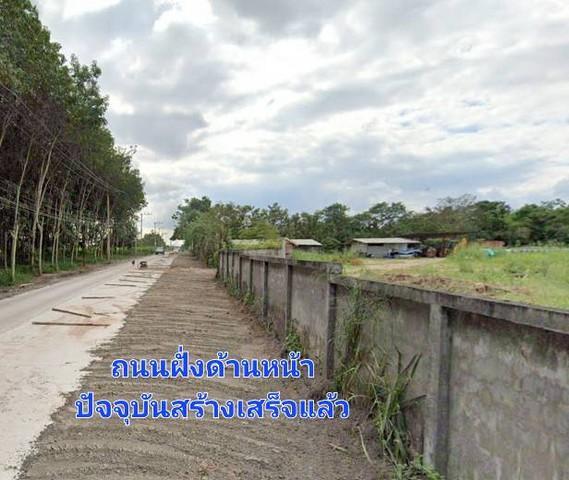 ขายที่ดิน 9-3-31 ไร่ แปลงสวย ติดถนนสองฝั่งหน้าหลัง พื้นที่ม่วงจุดขาว มาบยางพร ปลวกแดง 6