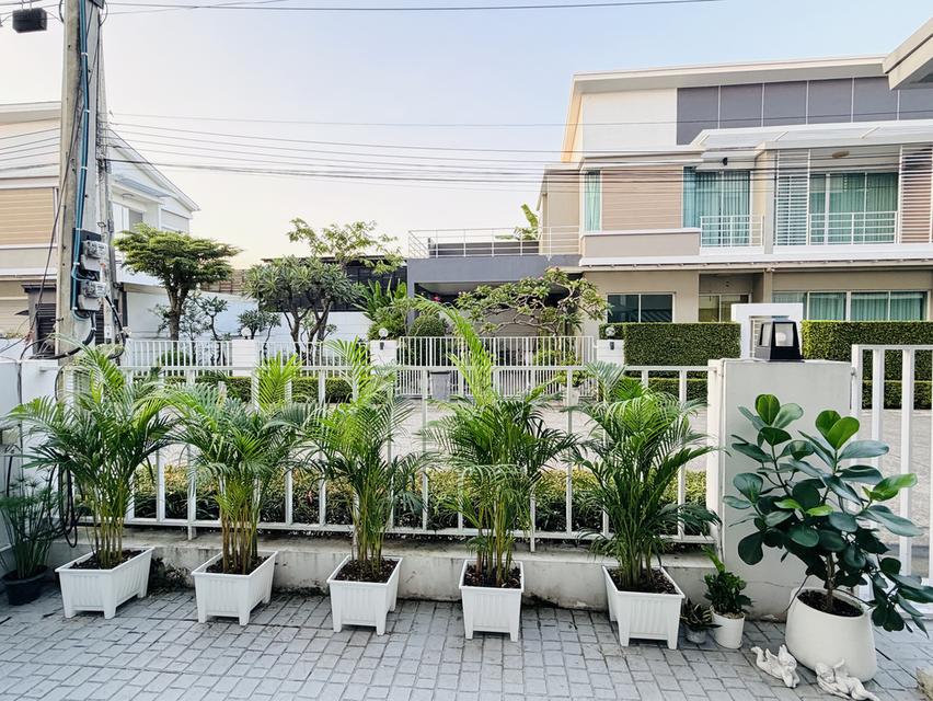 ทาวน์โฮม 3 ชั้น สภาพดี ทำเลทองอ่อนนุช 46 ใกล้รถไฟฟ้าสายสีเหลือง เข้าซอยแค่ 200 ม.! 🚗⚡ รองรับ EV Charger บิ้วท์อินครบ พร้อมอยู่ทันที 14
