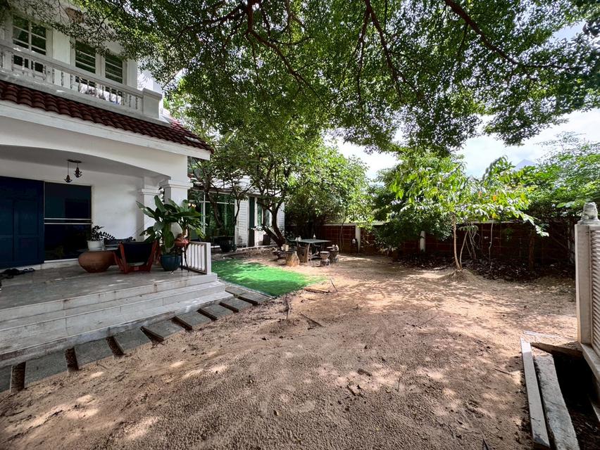 ขายบ้านเดี่ยว 2 ชั้น หมู่บ้านชัยพฤกษ์รามอินทรา บ้านหลังมุมพื้นที่เยอะ 1789 7