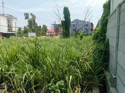 ที่ดินเปล่า 298 ตรว. ซ.รังสิต-นครนายก62  อ.ธัญบุรี  ใกล้ดรีมเวิลด์  8