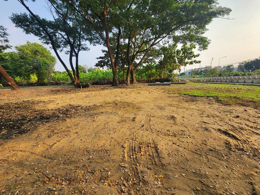 ที่ดินเปล่า 220ตรว. ริมคลองทวีวัฒนา กรุงเทพ 3