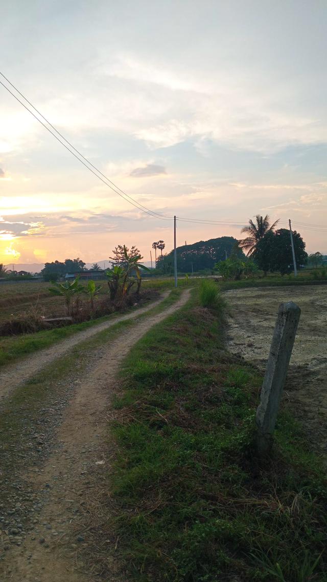 ที่ดินทำกินหรือบ้านกลางอากาศ 4