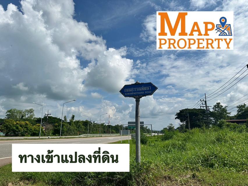 ขายที่นาแปลงสวย แปลงมุมติดถนน 2 ด้าน เนื้อที่ 9 ไร่กว่า ทำเลดีมีอนาคต 6