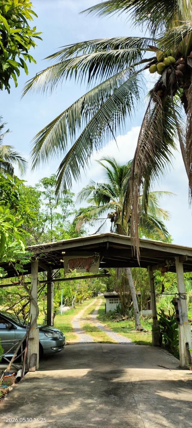 ขายที่ดินพร้อมบ้าน ริมคลองดำเนินสะดวก ตำบลหลักสาม อำเภอบ้านแพ้ว จังหวัดสมุทรสาคร 4