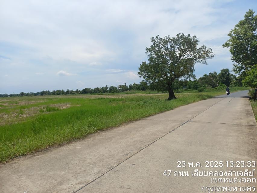ขายด่วนที่ดิน30ไร่ 24,000,000บาท 7