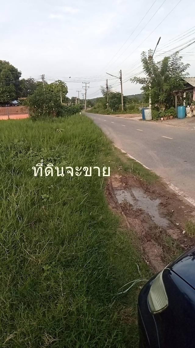 ขายที่ดิน 189 ตรว ต.ตาลเดี่ยว อ.แก่งคอย ห่างถนนแก่งคอยบ้านนา 1.3 กม ขาย7 แสนบาท 7