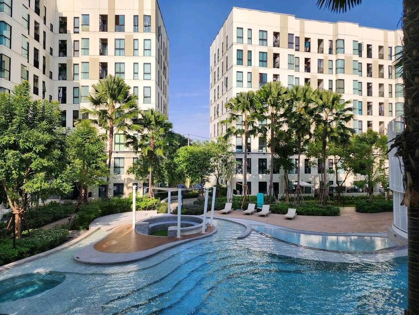 ขาย/ให้เช่า คอนโด ยูนิโอ สุขุมวิท 72 ห้อง Duplex แบบ Pool Access ขนาด 70.5 ตร.ม. บรรยากาศเหมือนอยู่รีสอร์ท ใกล้บีทีเอสแบริ่ง 11