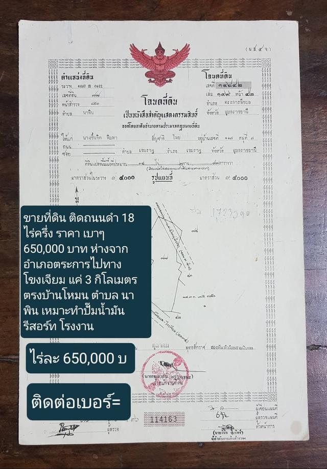 ที่ดินในเขตอำเภอตระการพืชผล 2