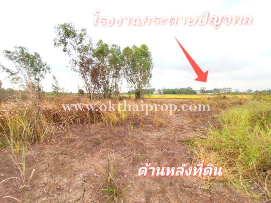 ที่ดิน ถนน3111 ต.ห่อหมก อ.บางไทร จ.อยุธยา 1