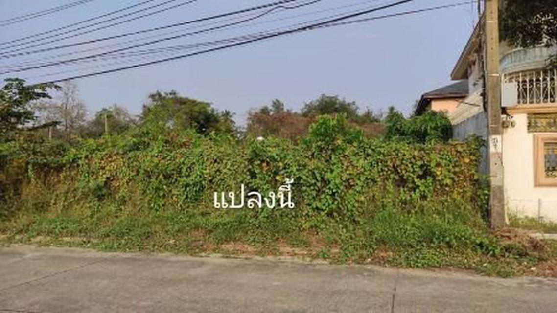 รูป ขาย ที่ดิน ใกล้ทะเลสาปในหมู่บ้าน ที่ดิน ในซอยเพชรเกษม64 1ไร่ใกล้ MRTบางแค 1 ไร่ 4 ตร.วา 5