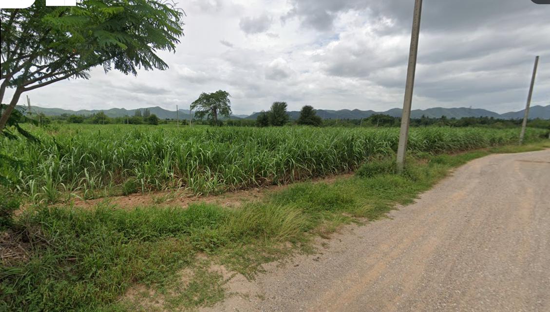 ที่ดินวิวเขากระปุก 100ตร.วา 160,000฿ ใกล้โครงการชั่งหัวมัน ท่ายาง เพชรบุรี 7