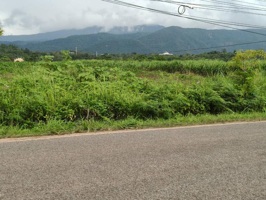 ขายที่ดินโป่งตาลอง เขาใหญ่ ติดถนนใหญ่เส้นทองอุไร 2213 หนองขี้ตุ่น ที่ดิน 18.5-39 ไร่ วิวเขาใหญ่สวยชัดมาก ใกล้ทอสคาน่า Toscana เส้น 3052 แปลงนี้สวยมาก 5