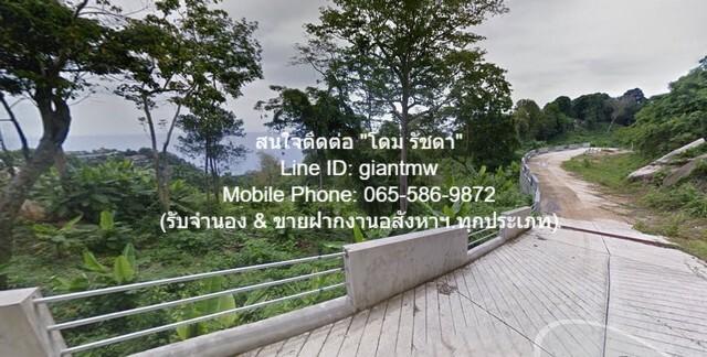 ขายที่ดินเปล่าบนภูเขา, วิวทะเล และมีถนนคอนกรีตหน้าที่ดิน ต.กมลา อ.กะทู้ จ.ภูเก็ต (2 ไร่), ราคา 34 ล้านบาท 6