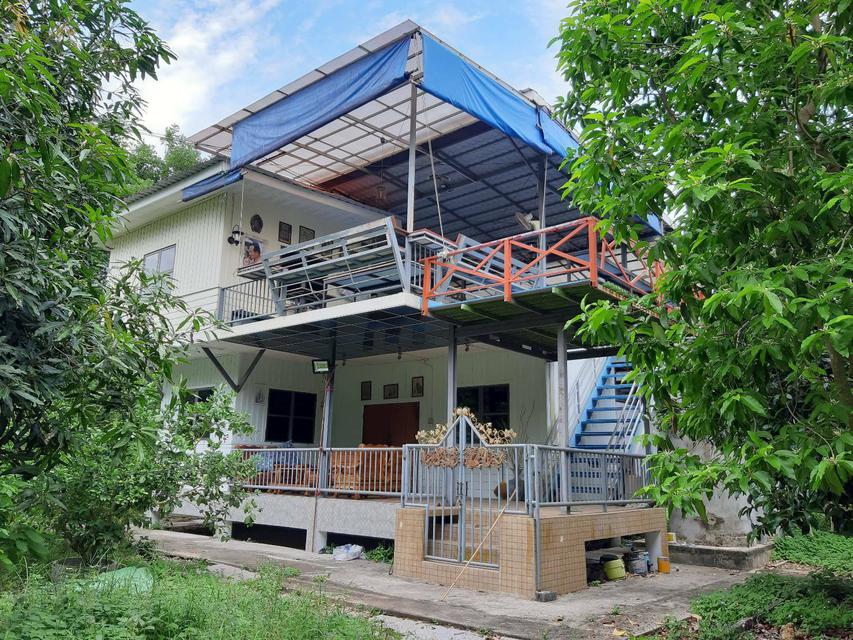 羅勇府 Mueang Rayong 區 Ban Laeng 區的待售果園和寄宿家庭 3