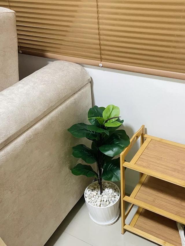 ต้นไม้ปลอม Monstera สวยมินิมอล 4