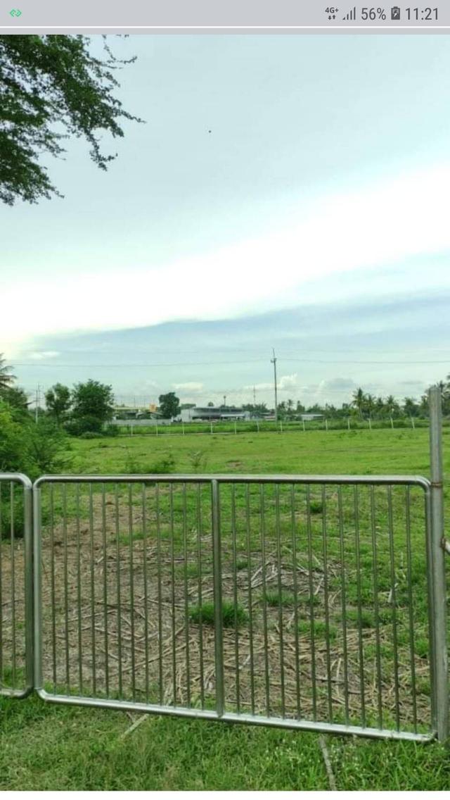 ขายที่ดินเปล่าถมแล้วจำนวน 4 ไร่ ต.เขาขลุง อ.บ้านโป่ง จ. ราชบุรี ห่างถนนใหญ่ 40 เมตร(ถนนกำลังขยาย 4 เลน) 6