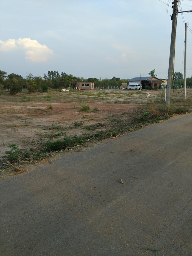 ขายที่ดินลาดกระทิง 3 ไร่ ติดถนนลาดยางติดลำราง ใกล้ถนนเส้น3259-2กม. อ.สนามชัยเขต ฉะเชิงเทรา 10