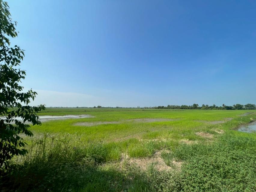 ที่ดิน จำนวน 9 ไร่ จ.สุพรรณบุรี 5