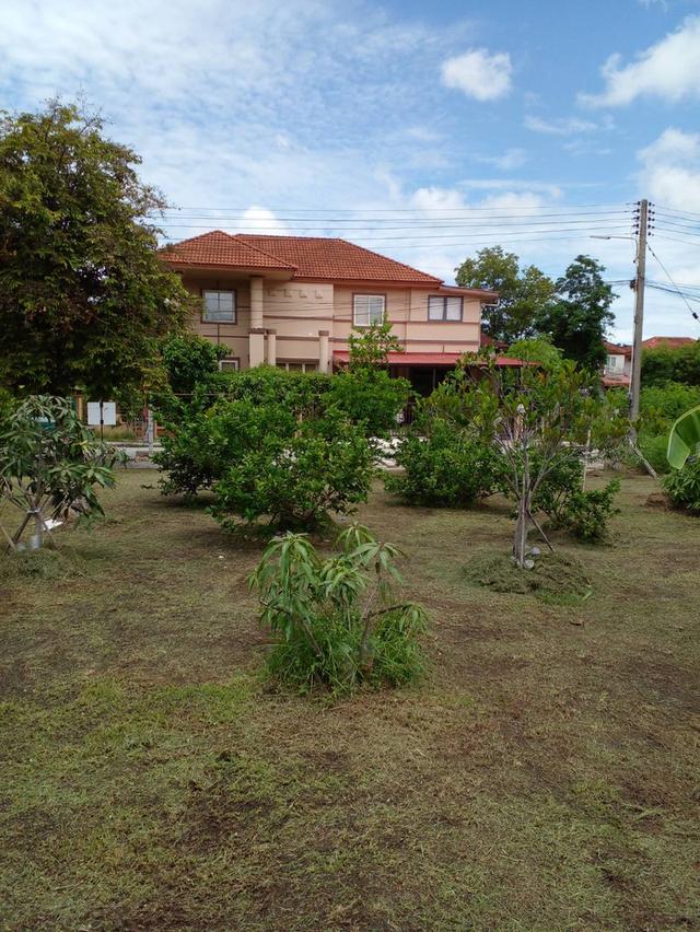 ที่ดินเปล่าจัดสรร(หมู่บ้านวิจิตราธานี) 3