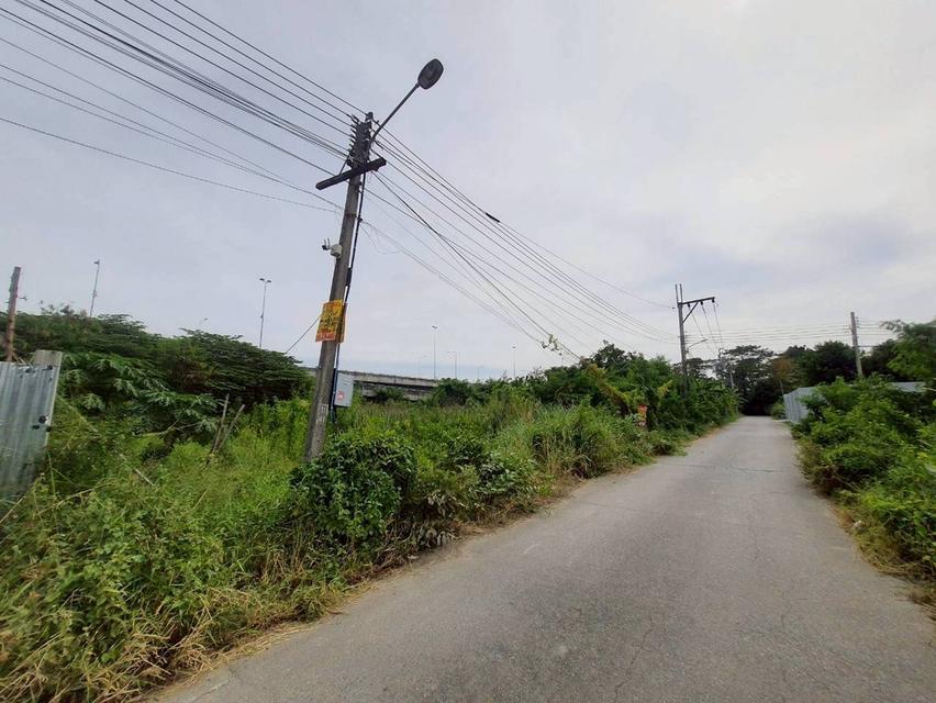 Vายที่ดินใกล้โรบินสันสมาน 172.5 ตารางวา ติดถนนคอนกรีตสาธารณะ ศรีสมาน ซอย 5 อ.ปากเกร็ด จ.นนทบุรี 10