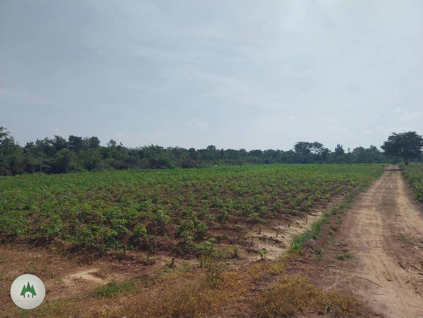 ขายที่ดิน โฉนดราคาถูก บ้านท่าเคย อำเภอสวนผึ้ง จังหวัดราชบุรี  เนื้อที่ 11 ไร่ 💰ราคาไร่ละ 230,000 บาท  5