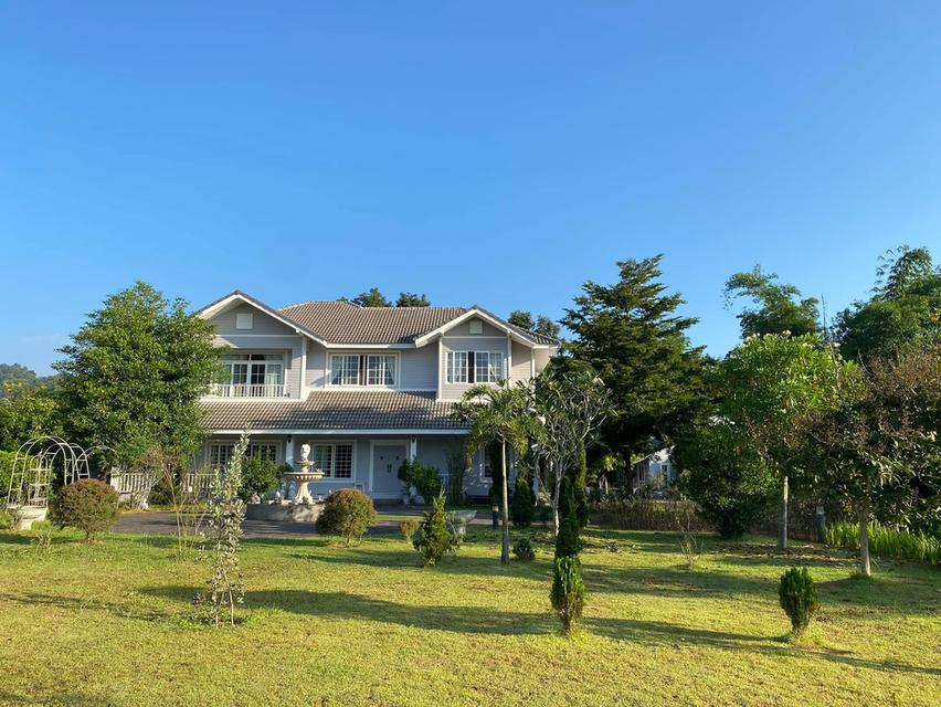 ขายบ้านสวยอยู่สบายอำเภอเมืองเชียงราย เจ้าของขายเอง — วิวภูเขา น้ำไม่เคยท่วม ทำเลดี เหมาะทั้งอยู่อาศัยและทำธุรกิจ 5