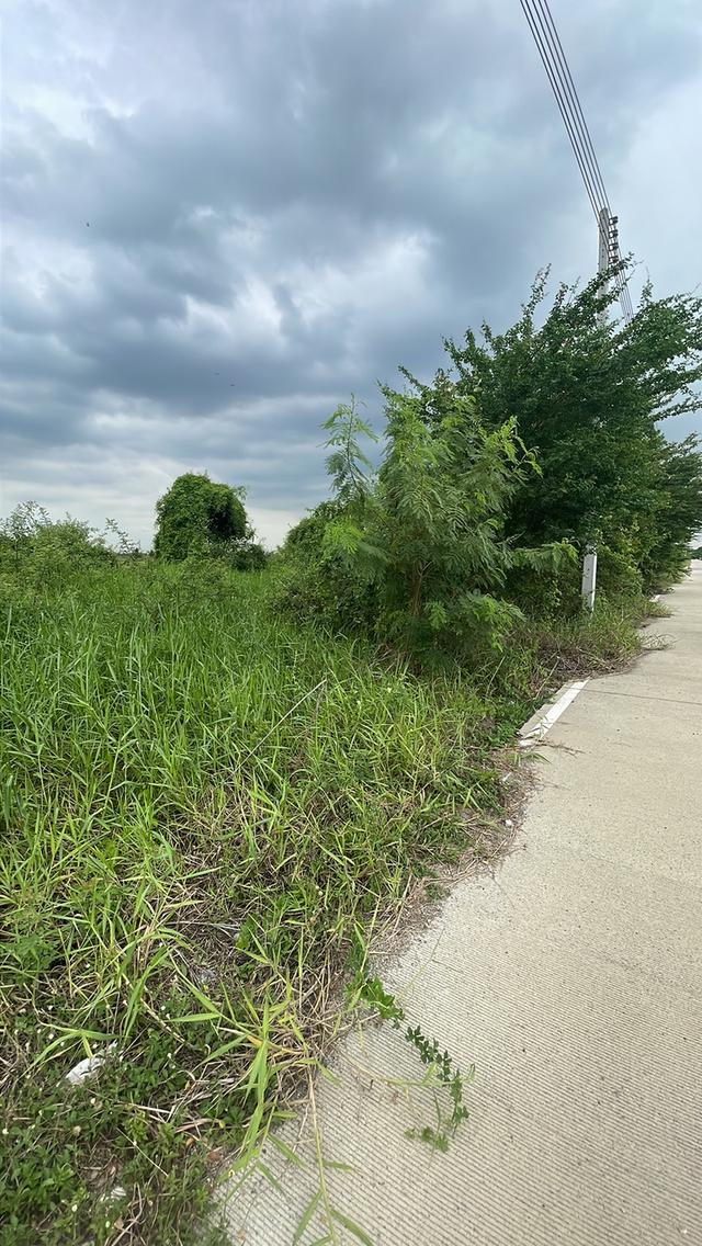 ที่ดิน จ.ปทุมธานี อ.สามโคก ต.คลองควาย 6