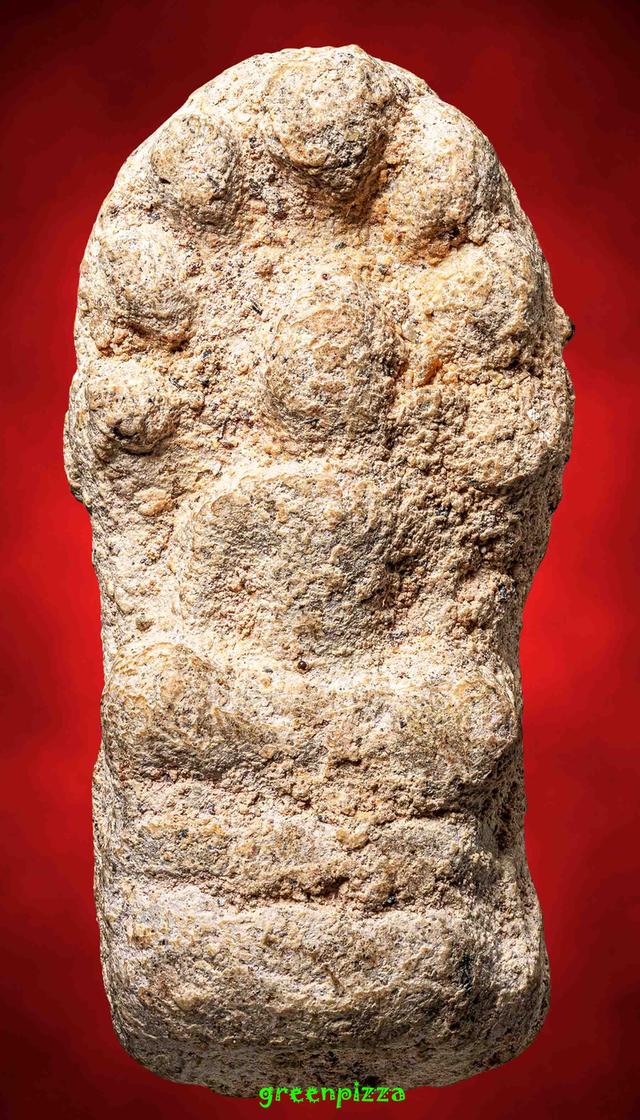 พระนาคปรกกรุนาดูน มหาสารคาม 2