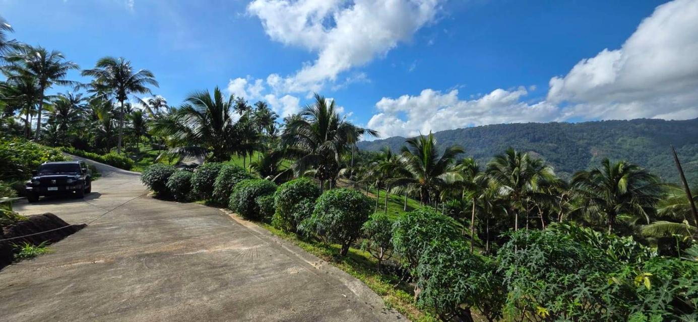 ที่ดินซีวิวบนเกาะสมุยอากาศดีถนนไฟฟ้าพร้อม 8