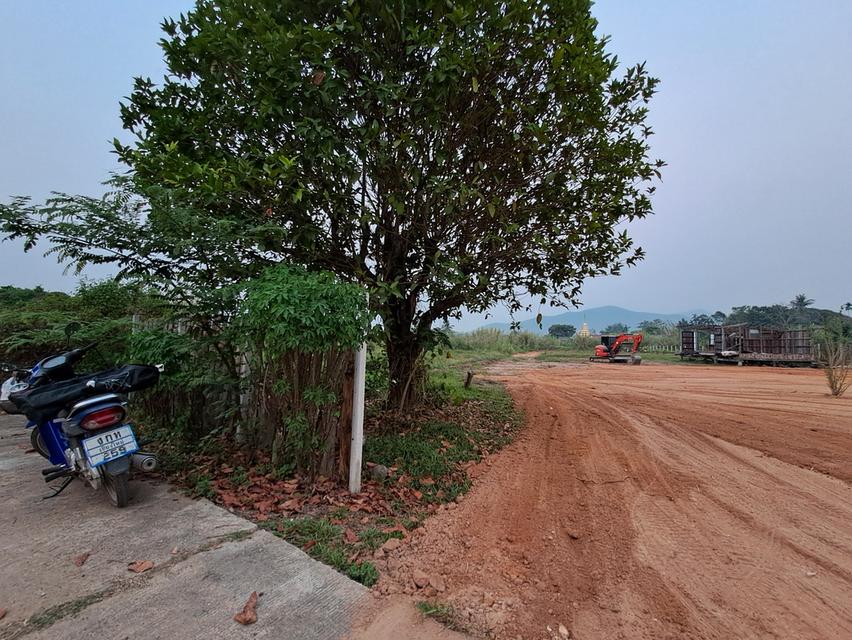 ที่ดินสวนน้ำไฟพร้อมแบ่งจ่ายได้ 1