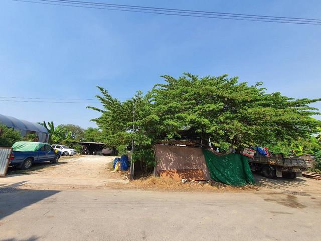 ขายที่ดิน 389 ตร.ว ซอยกรุงเทพกรีฑา 18 แยก 6 ประเวศ กรุงเทพ ใกล้ Market Place กรุงเทพกรีฑา 6