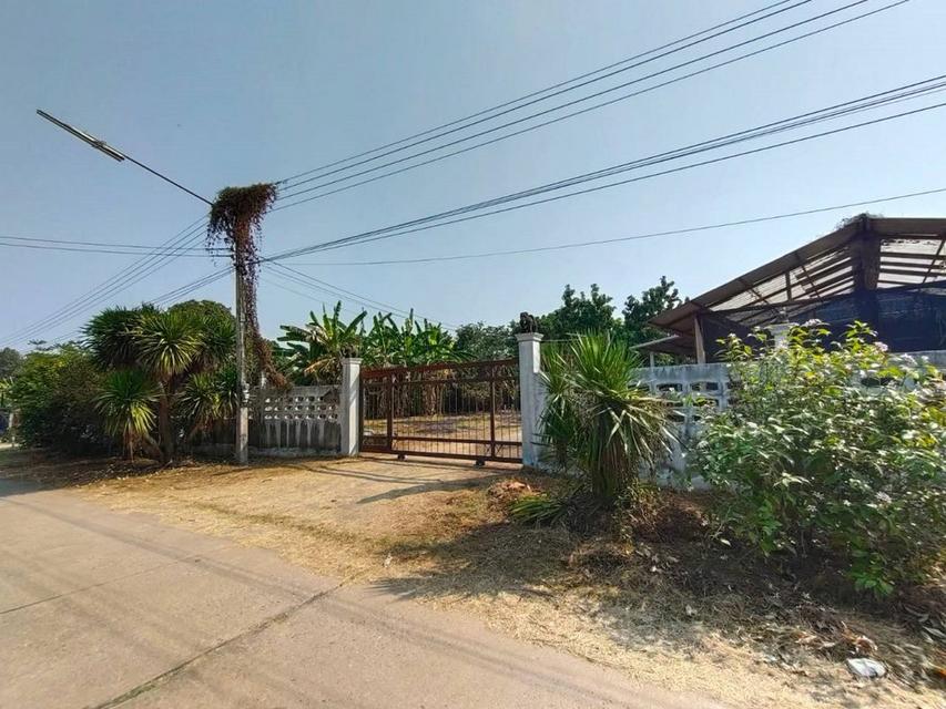 ขายพร้อมผู้เช่า ที่ดินพร้อมบ้าน 2 ไร่ ถนนหมายเลข 111 ตำบลคลองคะเชนทร์ เมืองพิจิตร ใกล้ Top แม็คโครพิจิตร (เจ้าของขายเอง) 1