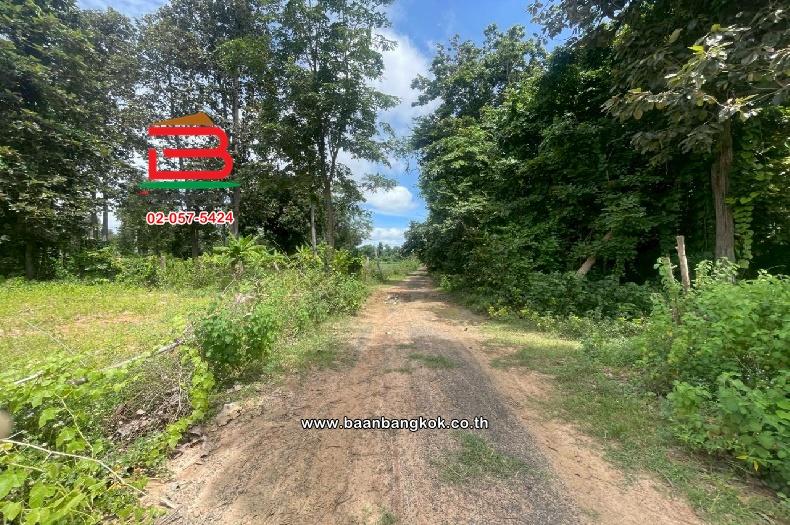 ที่ดินเปล่า หมู่บ้านโคกปราสาท เนื้อที่ 16-0-37 ไร่ (สามแยกบ้านยายพิมพ์, ใกล้โรงเรียนดอนหวาย) ตำบลหนองยายพิมพ์ อำเภอนางรอง บุรีรัมย์ 7