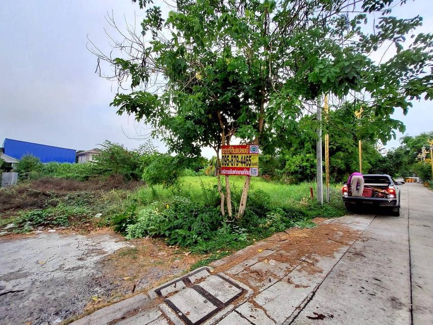 ขายด่วนที่ดิน 206 ตรว  ติดถนนคอนกรีต ซ.ลาดกระบัง 14/1 ราชาเทวะ บางพลี สมุทรปราการ 10