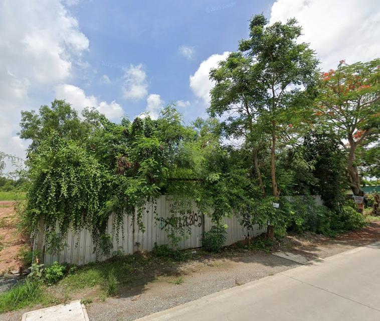 ขายที่ดินคลองห้าถมแล้ว 200 ตรว. ซอยโรงเรียนทีปังกรวิทยาพัฒน์ ใกล้ถนนเส้น3010-300เมตร อ.คลองหลวง ปทุมธานี