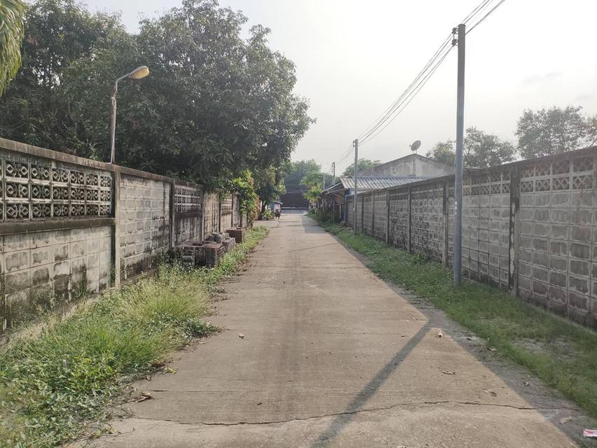 ให้เช่าที่ดินเปล่าถมแล้วในถนนมัยลาภ กรุงเทพมหานคร 12