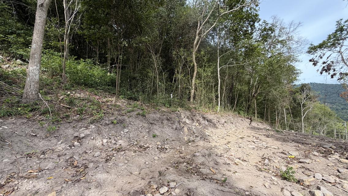 Prime Sunset & Sea View Land for Sale in Koh Samui – A Rare Investment Opportunity! 8