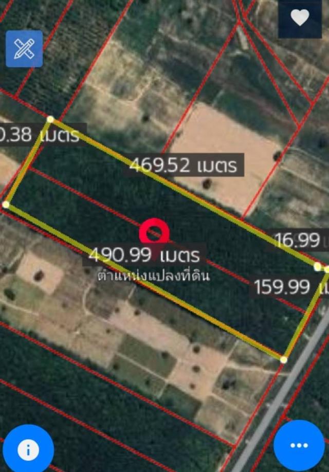 ขายที่ดินผังม่วงลายนิคมพัฒนาระยอง เนื้อที่48-2-77.7ไร่ ที่ดินผังม่วงลาย 5