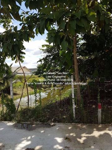 พื้นที่ดิน ให้เช่าที่ดินเปล่า 1 ไร่ (400 ตร.ว.) ติดถนนพุทธมณฑลสาย 1 ราคา 30,000 บาท/เดือน (รับสัญญาระยะสั้น-ยาว) 400 ตร. 5