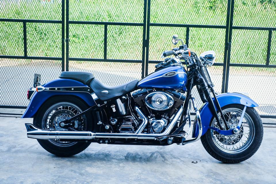Harley springer heritage softail
