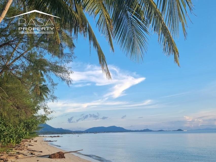 ขายที่ดินติดทะเล / Beach fornt Land for sale  4