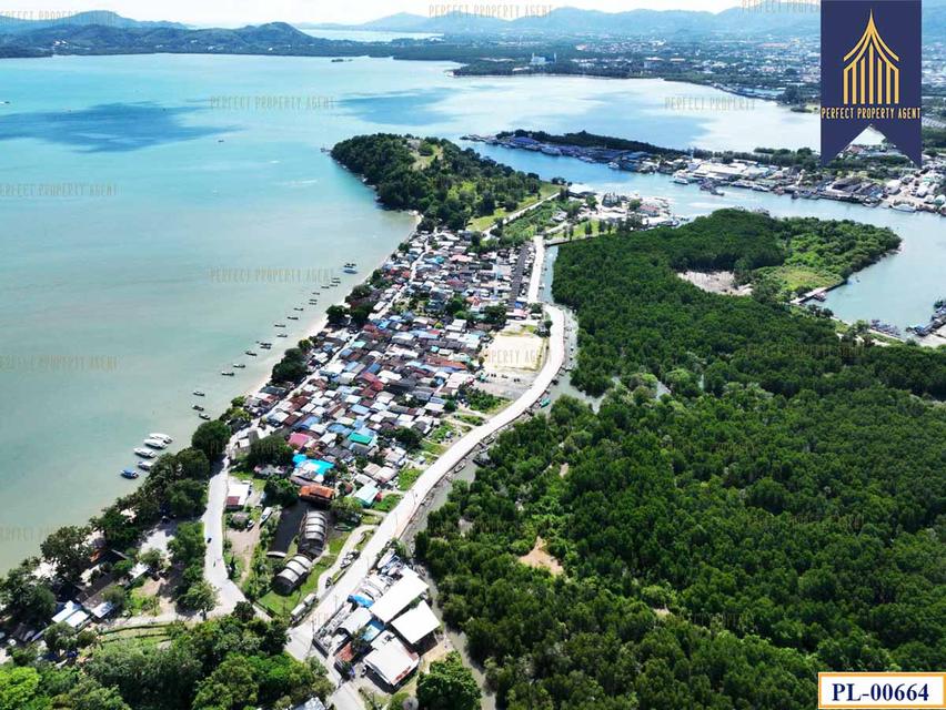 ขายที่ดิน ติดทะเล 51 ไร่ ภูเก็ต เกาะสิเหร่ ใกล้ท่าเรือรัษฎา ไปเกาะพีพีและอ่าวต้นไทร 7