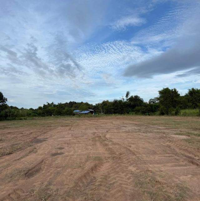 ขายที่ดินนาเริก 4 ไร่ ใกล้ถนนเส้น3246-900เมตร พนัสนิคม จ.ชลบุรี