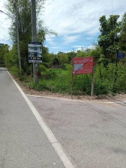 ขายที่ดินที่ดิน สันป่าตอง ใกล้หนองเสรียม อ.สันป่าตอง จ.เชียงใหม่ ติดถนนลาดยาง 2 ด้าน 3