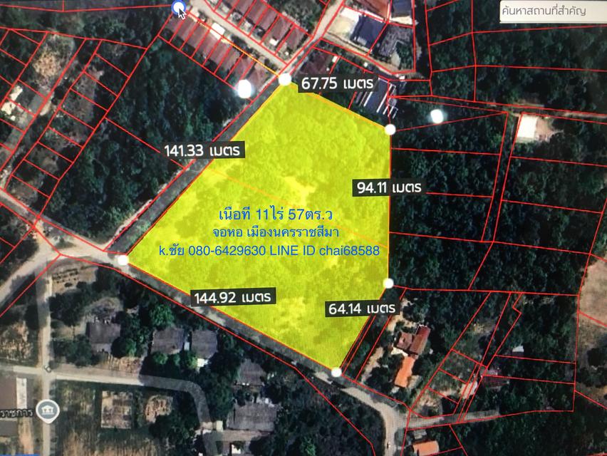 ขายที่ดินพร้อมไม้พะยูง ต้นไม้เต็มพื้นที่เนื้อที่ 11ไร่ 57ตรว. จอหอ เมืองนครราชสีมา 5