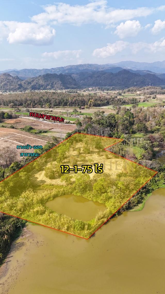 ประกาศขายที่ดิน ทำเลศักยภาพ ใกล้ไร่ชาฉุยฟง ตำบลศรีค้ำ อำเภอแม่จัน จังหวัดเชียงราย 57110 3